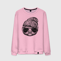 Мужской свитшот Медоед в шапке и очках