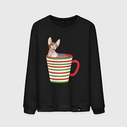 Мужской свитшот Сфинкс в новогодней полосатой кружке