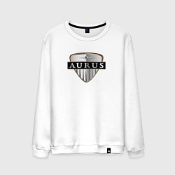 Мужской свитшот Aurus sport auto