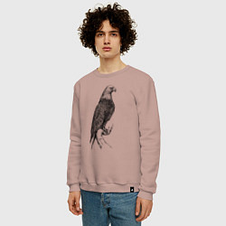 Свитшот хлопковый мужской Орёл на бревне, цвет: пыльно-розовый — фото 2
