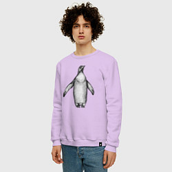 Свитшот хлопковый мужской Пингвин штрихами, цвет: лаванда — фото 2