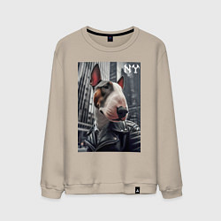 Мужской свитшот Dude bull terrier in New York - ai art