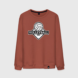 Мужской свитшот Volleyball club