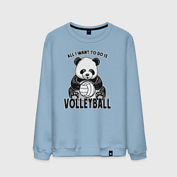 Мужской свитшот Panda volleyball