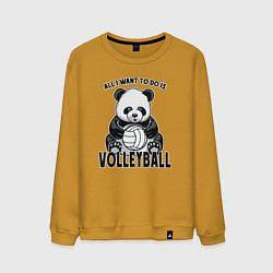 Мужской свитшот Panda volleyball