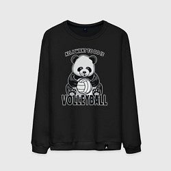 Мужской свитшот Panda volleyball