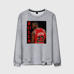 Свитшот хлопковый мужской Bulls Jordan, цвет: меланж