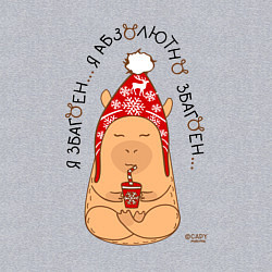 Свитшот хлопковый мужской Спокойный капибара: я збагоен, цвет: меланж — фото 2