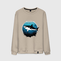 Свитшот хлопковый мужской Акула белая, цвет: миндальный