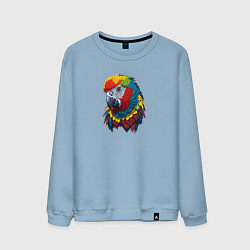 Мужской свитшот Красочный попугай в ярких перьях