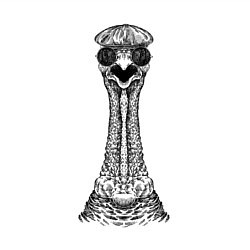 Свитшот хлопковый мужской Индейка в кепке, цвет: белый — фото 2