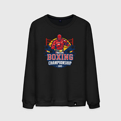 Мужской свитшот Boxing championship