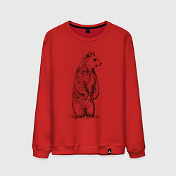 Свитшот хлопковый мужской Медведь стоящий, цвет: красный