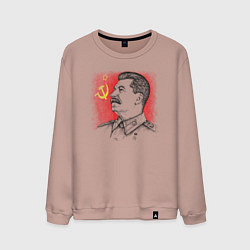 Свитшот хлопковый мужской Профиль Сталина СССР, цвет: пыльно-розовый
