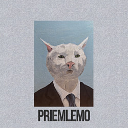 Свитшот хлопковый мужской Приемлемо - кот мем в живописи, цвет: меланж — фото 2