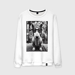 Свитшот хлопковый мужской Булли у стены с граффити, цвет: белый