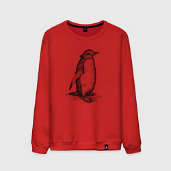 Свитшот хлопковый мужской Императорский пингвиненок, цвет: красный