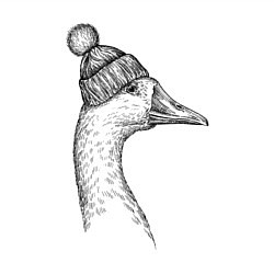 Свитшот хлопковый мужской Утка в шапке с помпоном, цвет: белый — фото 2