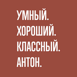 Свитшот хлопковый мужской Умный, хороший, классный Антон, цвет: кирпичный — фото 2