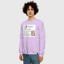 Свитшот хлопковый мужской Курва Хомик Википедия, цвет: лаванда — фото 2