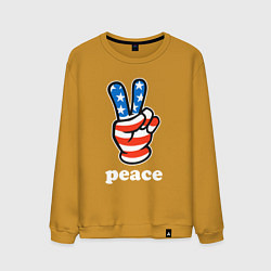 Мужской свитшот USA peace