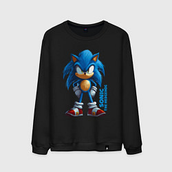 Свитшот хлопковый мужской Sonic - poster style, цвет: черный