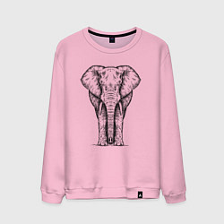 Свитшот хлопковый мужской Слон анфас, цвет: светло-розовый