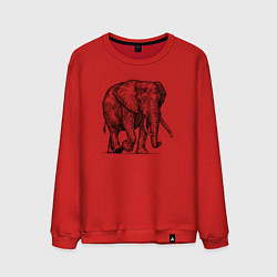 Свитшот хлопковый мужской Слон идет, цвет: красный