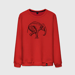 Свитшот хлопковый мужской Слон акробат, цвет: красный