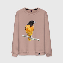 Мужской свитшот Иволга