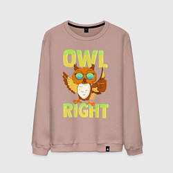 Мужской свитшот Owl right - каламбур отлично
