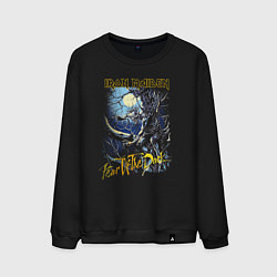 Свитшот хлопковый мужской Iron Maiden Fear Of The Dark, цвет: черный