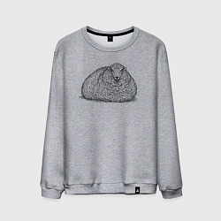 Свитшот хлопковый мужской Овца лежит, цвет: меланж