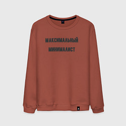 Свитшот хлопковый мужской Максимальный минималист, цвет: кирпичный