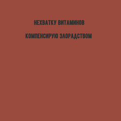 Свитшот хлопковый мужской Нехватку витаминов компенсирую злорадством, цвет: кирпичный — фото 2