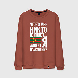 Свитшот хлопковый мужской Может я полковник, цвет: кирпичный