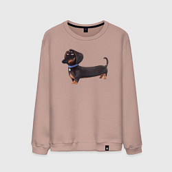 Мужской свитшот Мультяшная собака такса