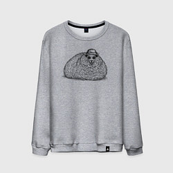 Мужской свитшот Овечка в панаме