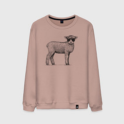 Мужской свитшот Ягненок в кепке