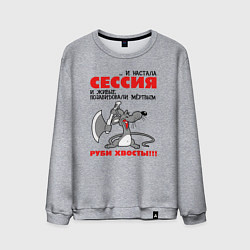 Свитшот хлопковый мужской И настала сессия - руби хвосты, цвет: меланж