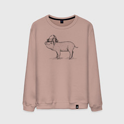 Свитшот хлопковый мужской Новогодний минипиг, цвет: пыльно-розовый