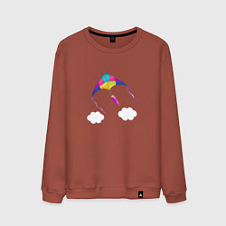 Свитшот хлопковый мужской Воздушный змей, цвет: кирпичный