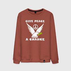 Свитшот хлопковый мужской Дайте миру шанс, цвет: кирпичный