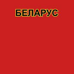 Свитшот хлопковый мужской Трактор Беларус, цвет: красный — фото 2