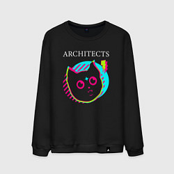 Мужской свитшот Architects rock star cat