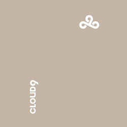 Свитшот хлопковый мужской Cloud9 - white logo, цвет: миндальный — фото 2