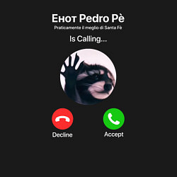 Свитшот хлопковый мужской Енот pedro is calling, цвет: черный — фото 2