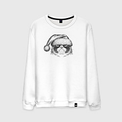 Мужской свитшот Grumpy cat Santa