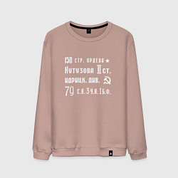 Мужской свитшот Знамя Победы СССР