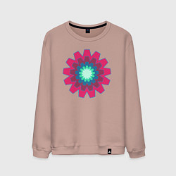 Мужской свитшот Окружности шестерёнки